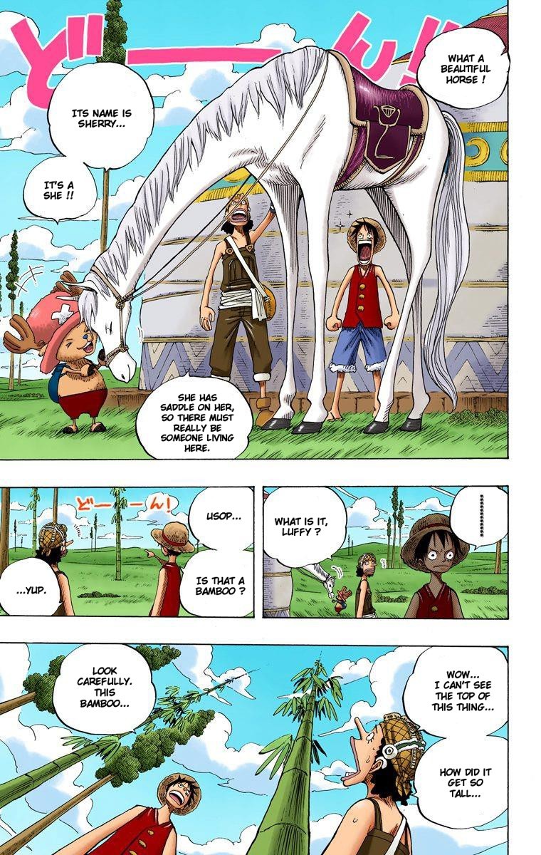 One Piece Digital Colored Chapter 304 image 16